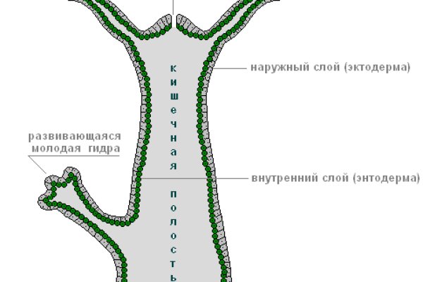 Ссылка кракен сегодня