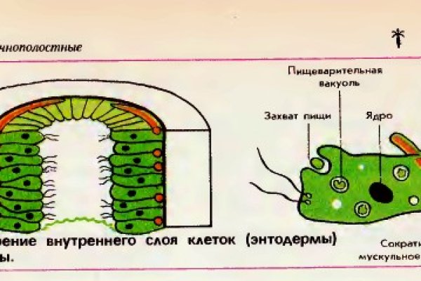 Кракен сайт закладок