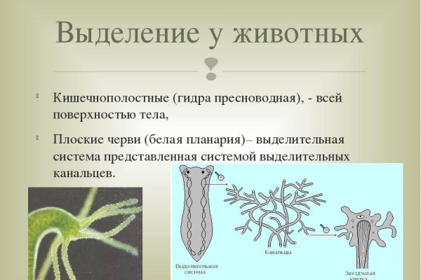 Вход на кракен