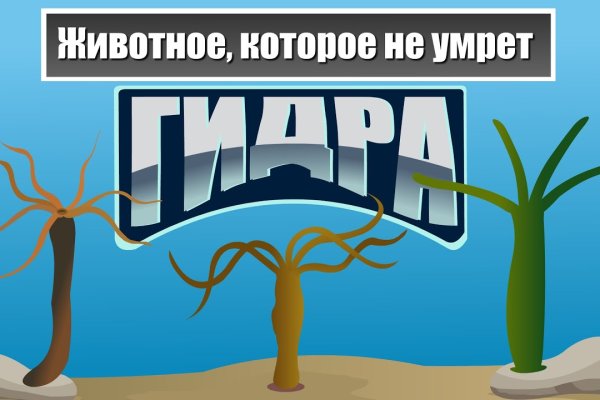 Актуальные ссылки кракен 2025