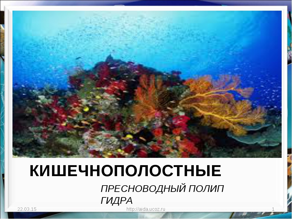 Как зайти на кракен даркнет